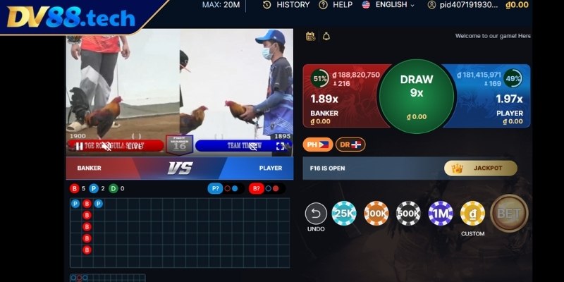 Những Điều Cần Biết Khi Chơi Đá Gà Tại DV88 Dễ Dàng Đặt Cược 1 Hiểu rõ về đá gà online